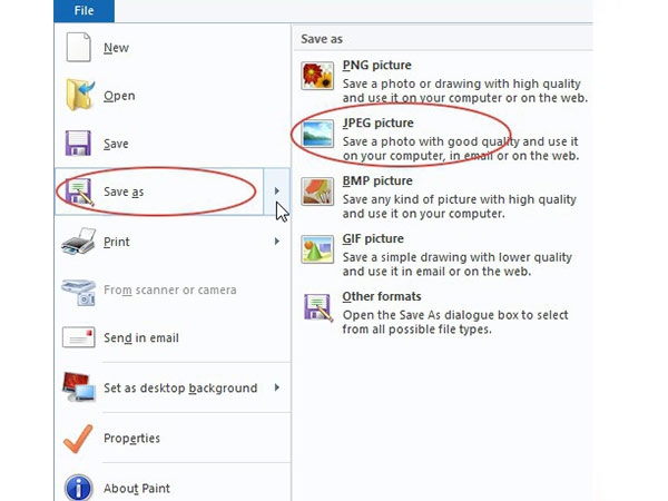 ઇમેજ ફોર્મેટ